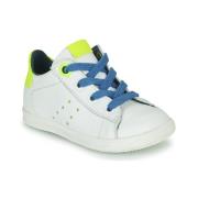 Lage Sneakers Little Mary DUSTIN