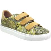 Lage Sneakers K.mary Clany