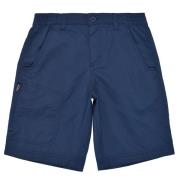 Korte Broek Columbia SILVER RIDGE SHORT