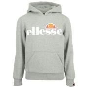 Sweater Ellesse Jero Hoody Jr