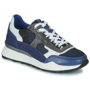 Lage Sneakers Bullboxer AEX003E5LACTWB