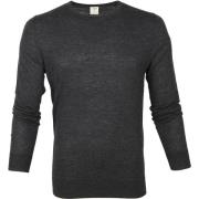 Sweater Olymp Trui Lvl 5 Antraciet