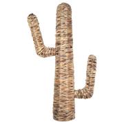 Manden en dozen Signes Grimalt Cactus