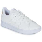 Lage Sneakers adidas ADVANTAGE