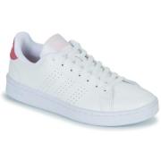 Lage Sneakers adidas ADVANTAGE