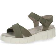 Sandalen Caprice -