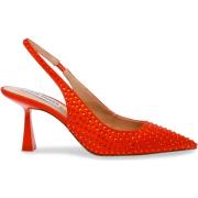 Pumps Steve Madden Escarpins femme Lustrous-R