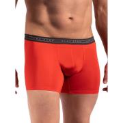 Boxers Olaf Benz Boxer RED2264