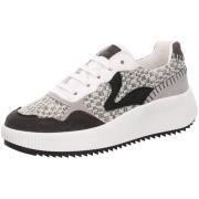 Sneakers Palpa -