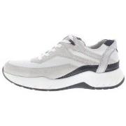 Sneakers Gijs 2070 G