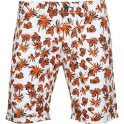 Broek Dstrezzed Wayne Short Oranje