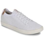 Lage Sneakers Saola CANNON KNIT II
