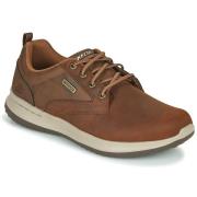 Lage Sneakers Skechers DELSON ANTIGO