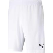 Korte Broek Puma Teamrise Short