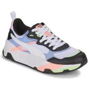 Lage Sneakers Puma Trinity