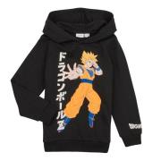Sweater Name it NKMJOCH DRAGONBALL SWEAT WH BRU VDE