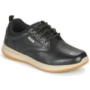 Lage Sneakers Skechers DELSON ANTIGO