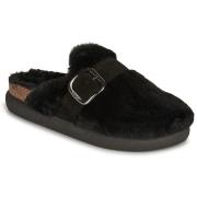 Slippers Scholl IVY BIG BUCKLE