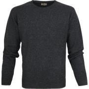 Sweater William Lockie Trui Lamswol Charcoal Antraciet