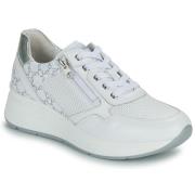 Lage Sneakers NeroGiardini E409840D