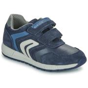 Lage Sneakers Geox J ALBEN BOY