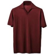 Polo Shirt Korte Mouw Lanaioli -