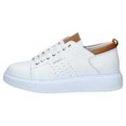 Sneakers Exton -