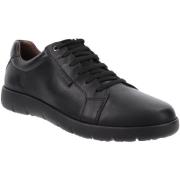 Sneakers Valleverde VV-36982