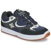 Lage Sneakers DC Shoes KALYNX ZERO