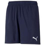 Korte Broek Puma Teamrise Training Shorts Jr