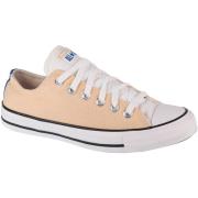 Lage Sneakers Converse Chuck Taylor All Star
