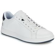 Lage Sneakers Paul Smith ALBANY
