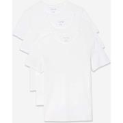 T-shirt Lacoste tee 3 pack