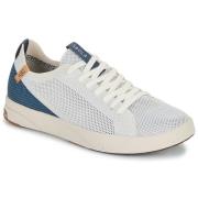 Lage Sneakers Saola CANNON KNIT 2.1