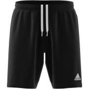 Korte Broek adidas -