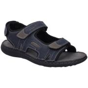 Sandalen Josef Seibel -