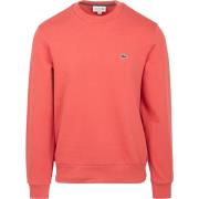 Sweater Lacoste Sweater Rood