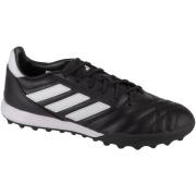 Voetbalschoenen adidas adidas Copa Gloro TF