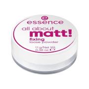 Blush &amp; poeder Essence All About Matt! Losse Fixerende Poeder