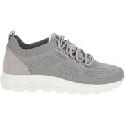 Lage Sneakers Geox Sneaker