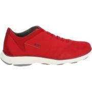 Lage Sneakers Geox Sneaker