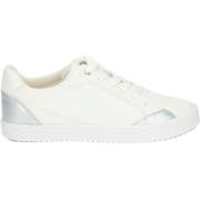 Lage Sneakers Geox Sneaker