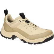 Fitness Schoenen Ecco -