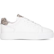 Lage Sneakers Ps Poelman TITULAR Dames sneakers