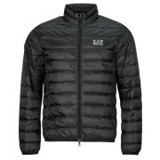 Donsjas Emporio Armani EA7 CORE IDENTITY DOWN JACKET