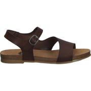 Sandalen Cosmos Comfort Sandalen