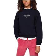 Sweater Tommy Hilfiger -