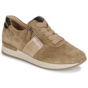 Lage Sneakers Gabor 53420