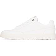 Lage Sneakers Ps Poelman LEVI Heren sneakers