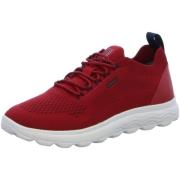 Nette Schoenen Geox -